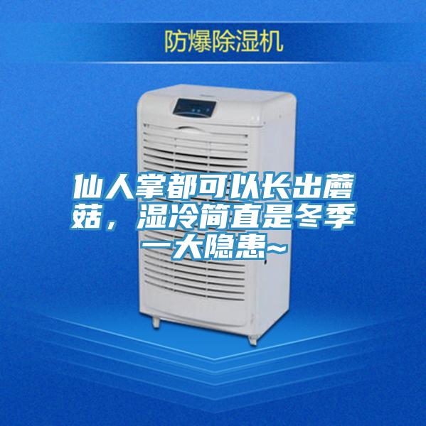 仙人掌都可以長(zhǎng)出蘑菇，濕冷簡(jiǎn)直是冬季一大隱患~