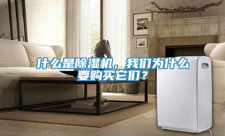 什么是除濕機(jī)，我們?yōu)槭裁匆?gòu)買(mǎi)它們？