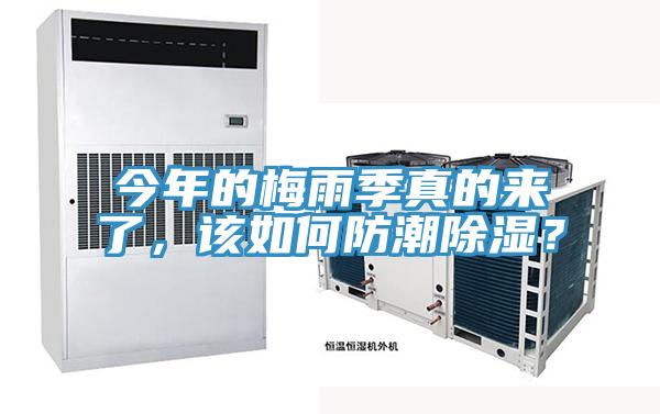 今年的梅雨季真的來了，該如何防潮除濕？