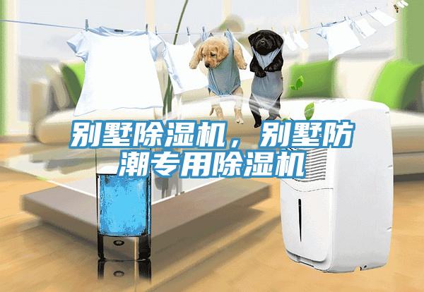 別墅除濕機(jī)，別墅防潮專用除濕機(jī)