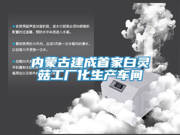 內(nèi)蒙古建成首家白靈菇工廠(chǎng)化生產(chǎn)車(chē)間
