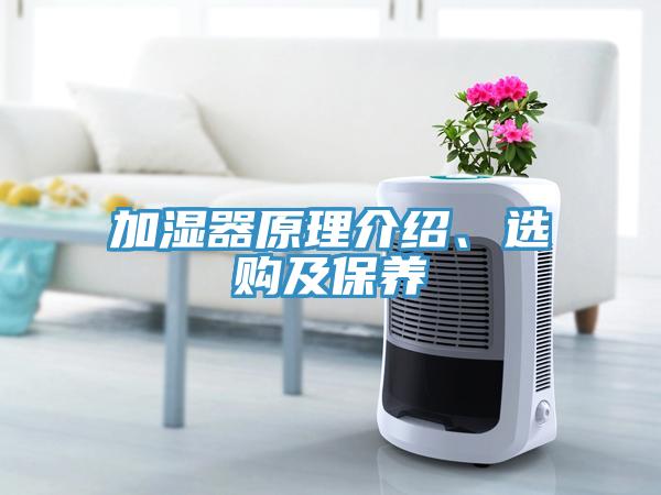 加濕器原理介紹、選購(gòu)及保養(yǎng)