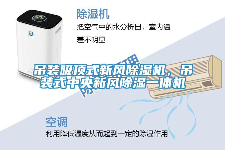 吊裝吸頂式新風(fēng)除濕機(jī)，吊裝式中央新風(fēng)除濕一體機(jī)