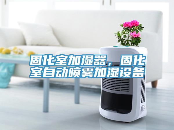 固化室加濕器，固化室自動(dòng)噴霧加濕設(shè)備
