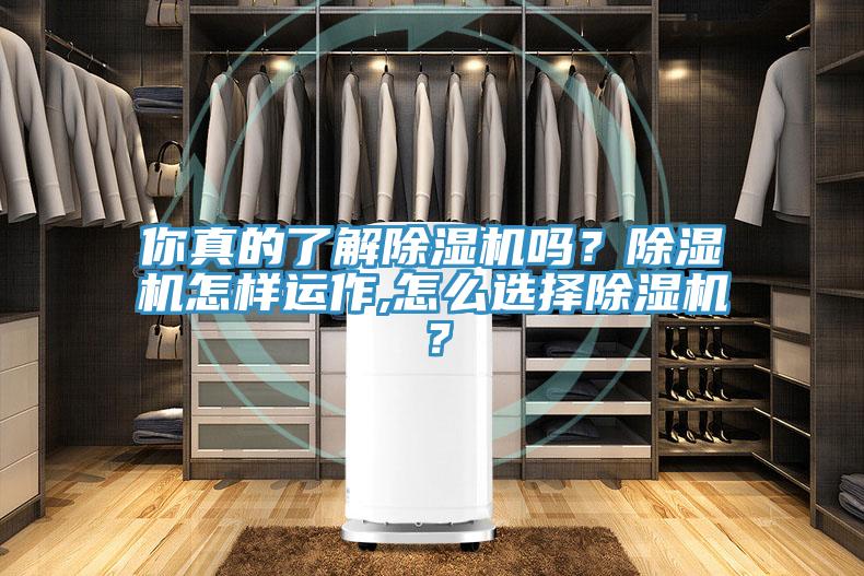 你真的了解除濕機(jī)嗎？除濕機(jī)怎樣運(yùn)作,怎么選擇除濕機(jī)？