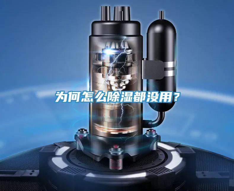 為何怎么除濕都沒(méi)用？