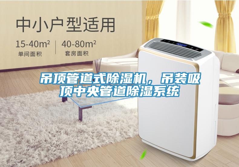 吊頂管道式除濕機，吊裝吸頂中央管道除濕系統(tǒng)