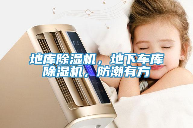地庫(kù)除濕機(jī)，地下車庫(kù)除濕機(jī)，防潮有方