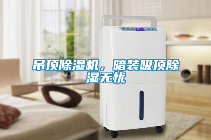 吊頂除濕機(jī)，暗裝吸頂除濕無(wú)憂
