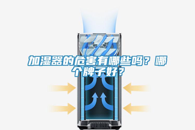 加濕器的危害有哪些嗎？哪個(gè)牌子好？