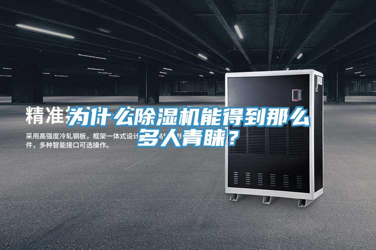 為什么除濕機(jī)能得到那么多人青睞？