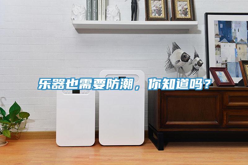 樂器也需要防潮，你知道嗎？