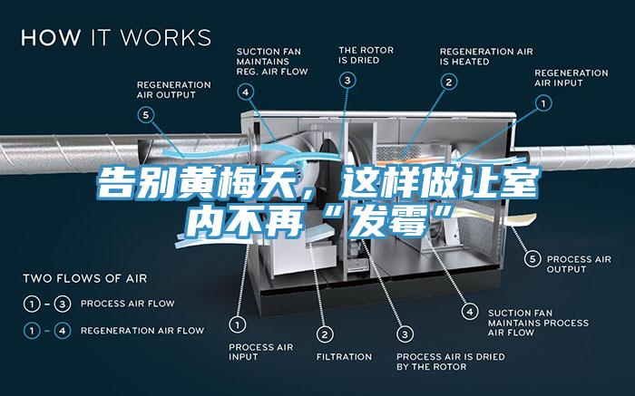 告別黃梅天，這樣做讓室內(nèi)不再“發(fā)霉”