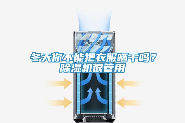 冬天你不能把衣服曬干嗎？除濕機(jī)很管用