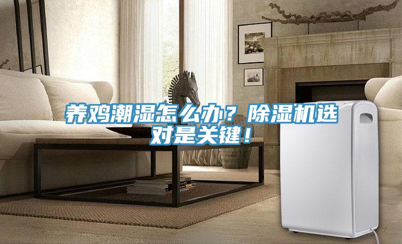 養(yǎng)雞潮濕怎么辦？除濕機(jī)選對(duì)是關(guān)鍵！