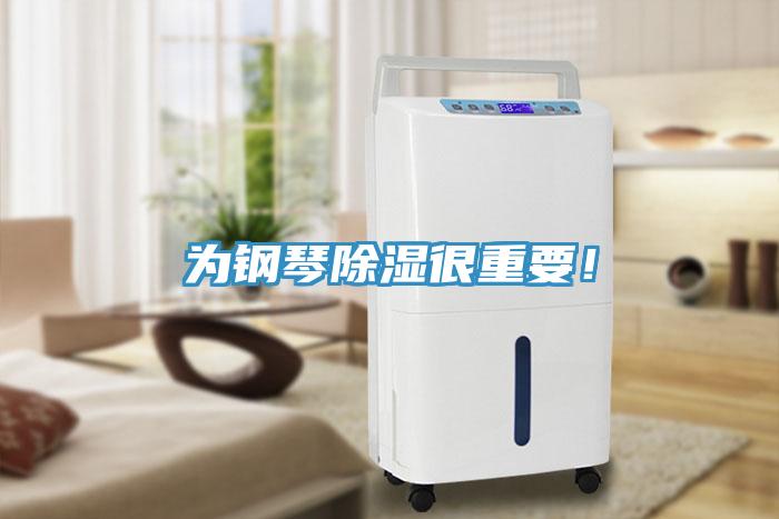 為鋼琴除濕很重要！