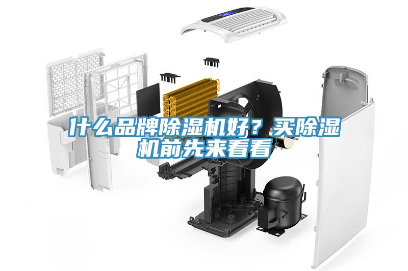 什么品牌除濕機(jī)好？買(mǎi)除濕機(jī)前先來(lái)看看