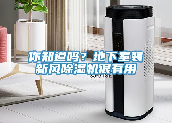 你知道嗎？地下室裝新風(fēng)除濕機(jī)很有用