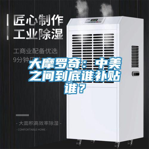 大摩羅奇：中美之間到底誰補貼誰？