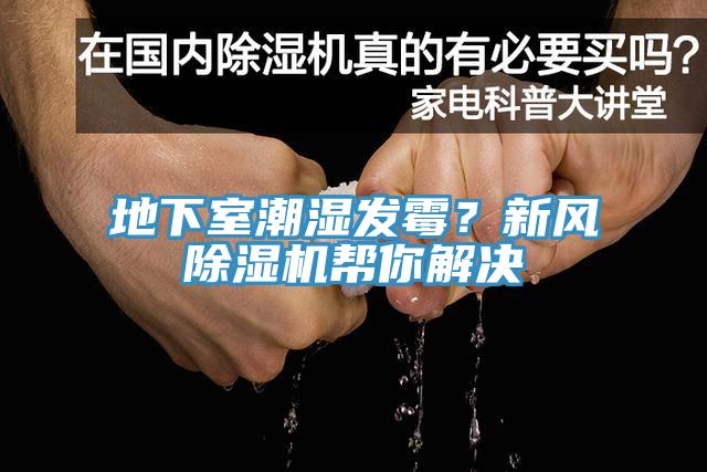 地下室潮濕發(fā)霉？新風除濕機幫你解決