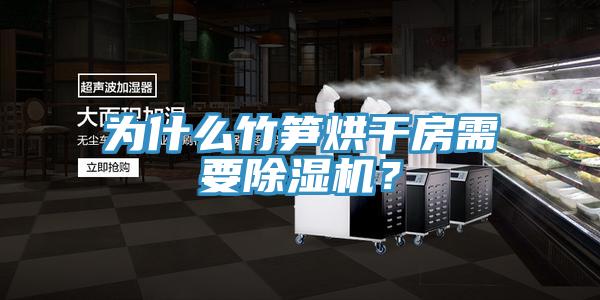 為什么竹筍烘干房需要除濕機？