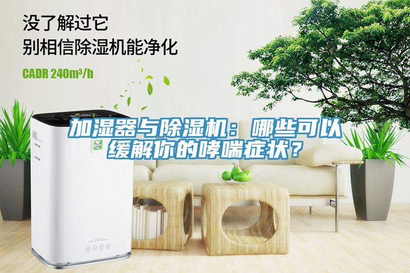 加濕器與除濕機(jī)：哪些可以緩解你的哮喘癥狀？