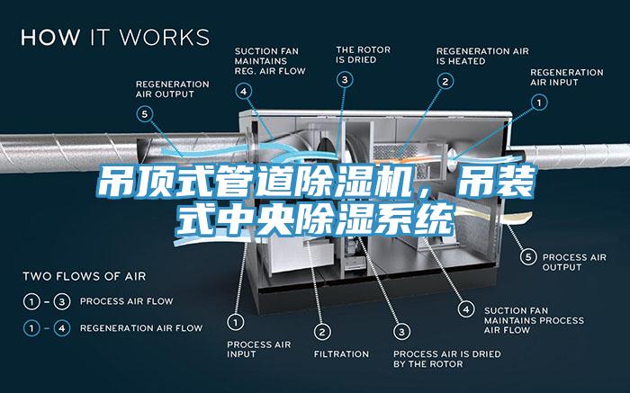 吊頂式管道除濕機(jī)，吊裝式中央除濕系統(tǒng)