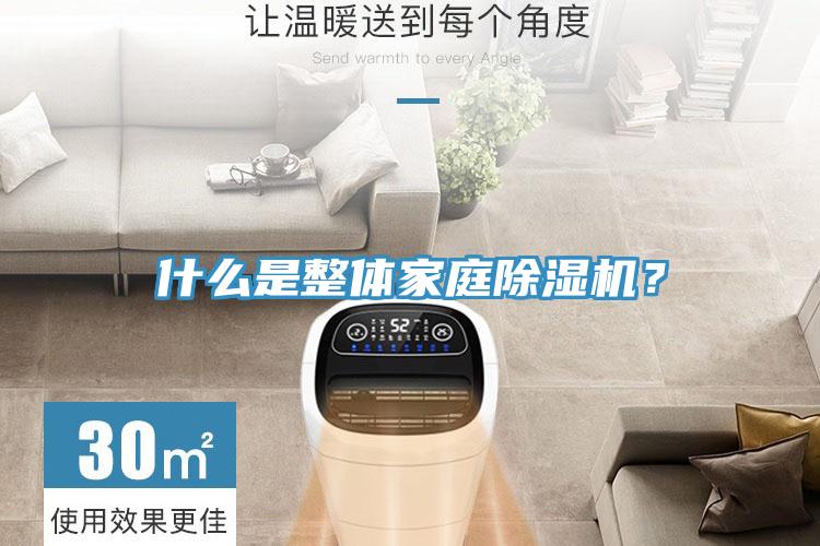 什么是整體家庭除濕機(jī)？