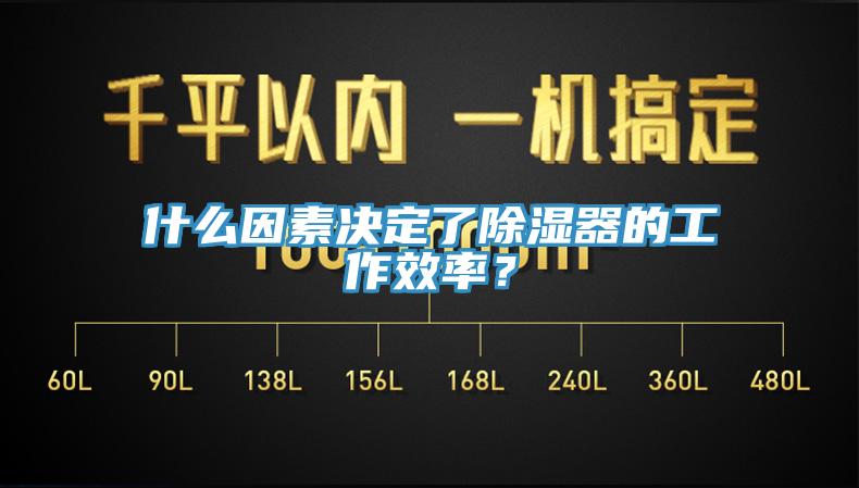 什么因素決定了除濕器的工作效率？