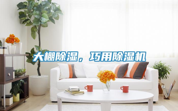 大棚除濕，巧用除濕機