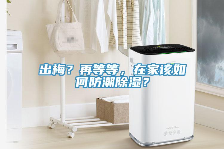 出梅？再等等，在家該如何防潮除濕？