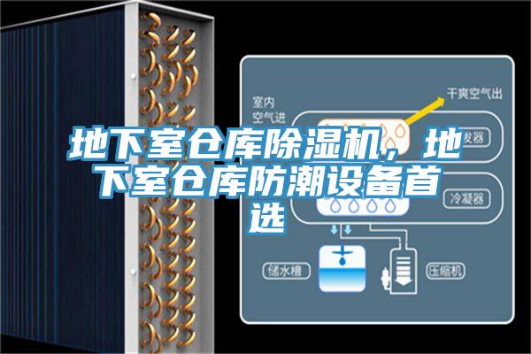 地下室倉庫除濕機(jī)，地下室倉庫防潮設(shè)備首選