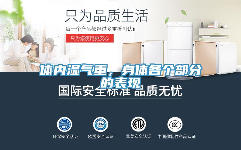 體內(nèi)濕氣重，身體各個(gè)部分的表現(xiàn)