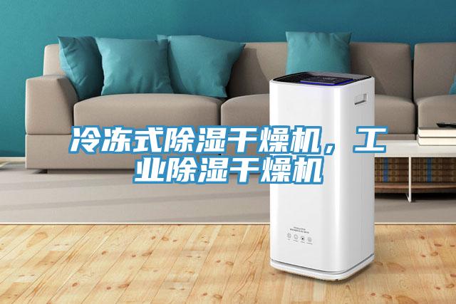 冷凍式除濕干燥機(jī)，工業(yè)除濕干燥機(jī)