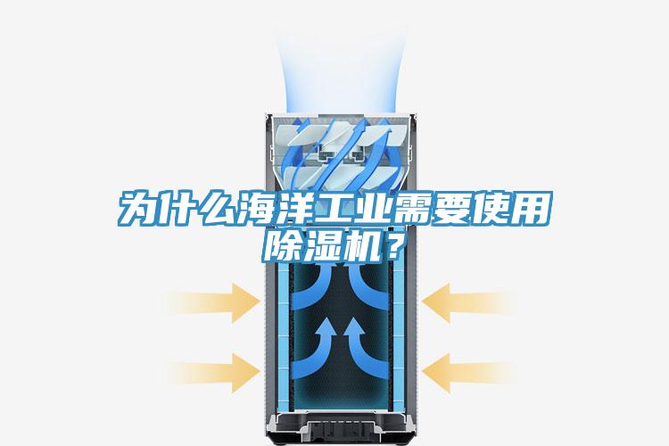 為什么海洋工業(yè)需要使用除濕機？