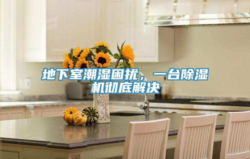 地下室潮濕困擾，一臺(tái)除濕機(jī)徹底解決