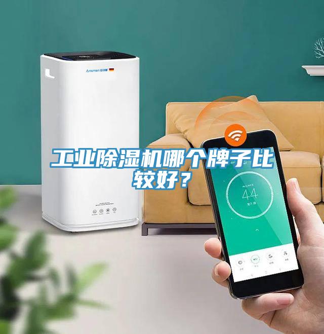工業(yè)除濕機(jī)哪個牌子比較好？
