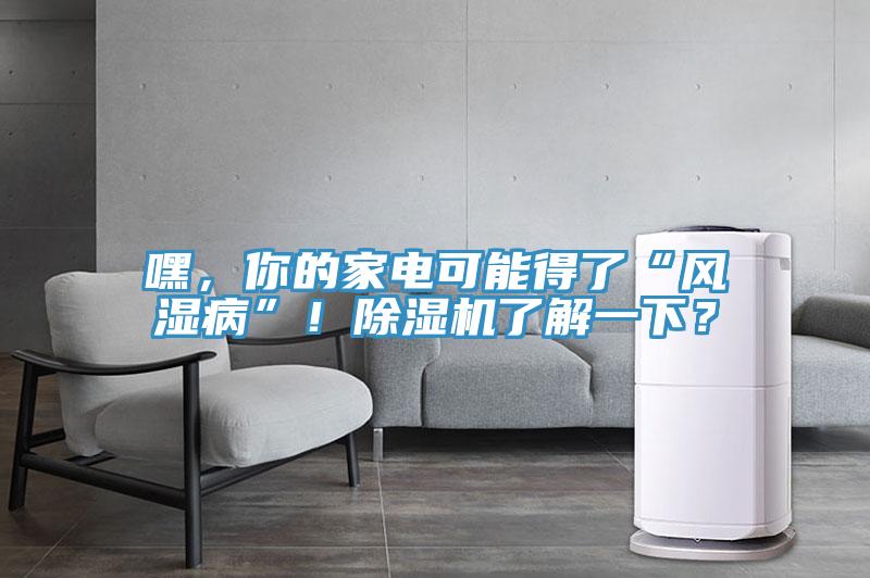 嘿，你的家電可能得了“風(fēng)濕病”！除濕機(jī)了解一下？