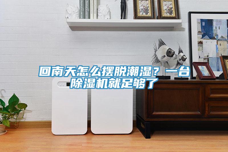 回南天怎么擺脫潮濕？一臺(tái)除濕機(jī)就足夠了