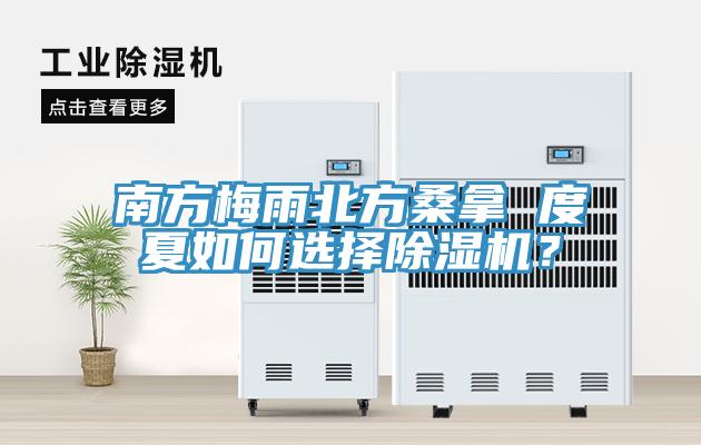 南方梅雨北方桑拿 度夏如何選擇除濕機(jī)？