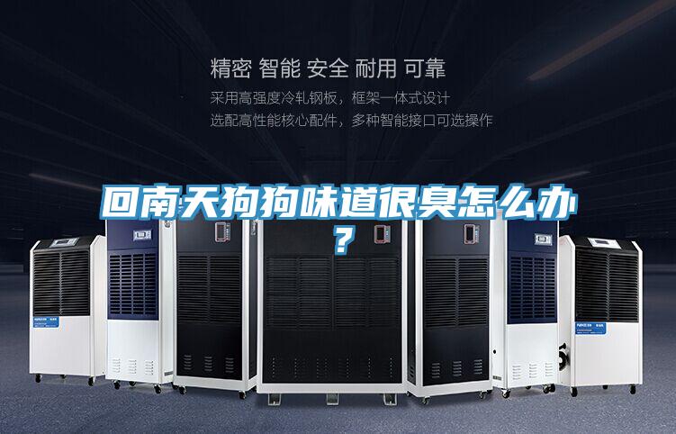 回南天狗狗味道很臭怎么辦？