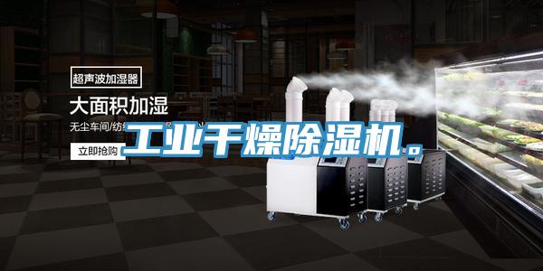 工業(yè)干燥除濕機(jī)。
