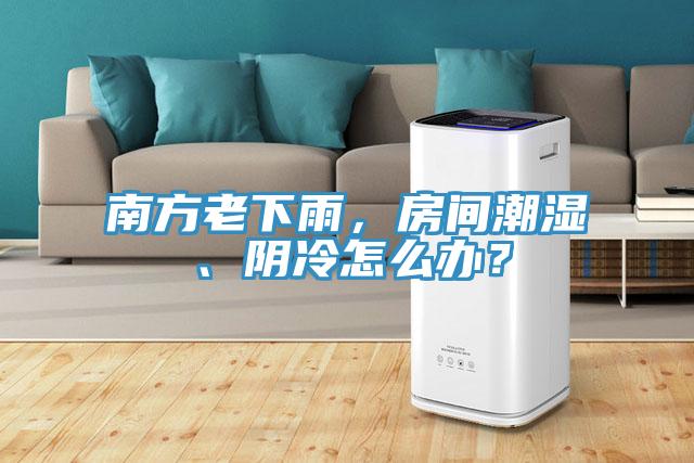 南方老下雨，房間潮濕、陰冷怎么辦？