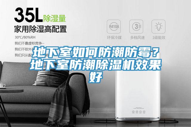 地下室如何防潮防霉？地下室防潮除濕機(jī)效果好