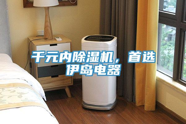 千元內(nèi)除濕機，首選伊島電器