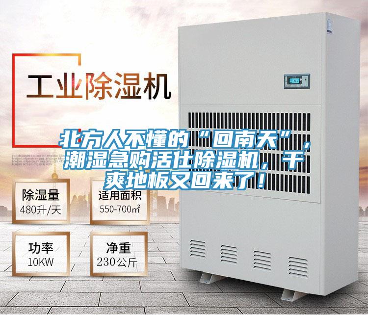 北方人不懂的“回南天”，潮濕急購(gòu)活仕除濕機(jī)，干爽地板又回來(lái)了！