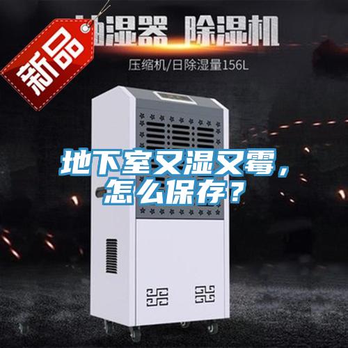 地下室又濕又霉，怎么保存？