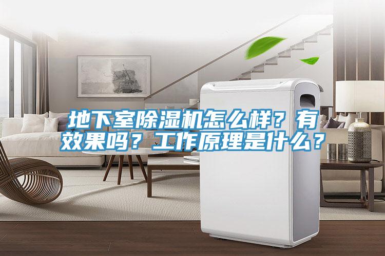 地下室除濕機(jī)怎么樣？有效果嗎？工作原理是什么？