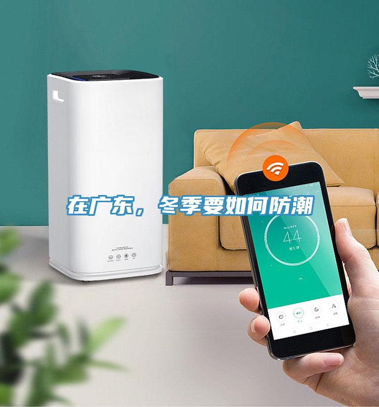 在廣東，冬季要如何防潮