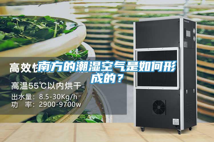 南方的潮濕空氣是如何形成的？